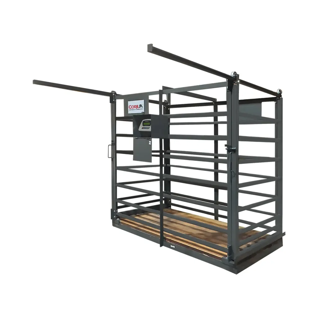 Báscula electrónica agropecuario piso Corila 1,500kg/500g mod. CP-1500GP