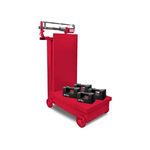 Calibración instrumentos para pesar de funcionamiento no automático de NOM-010-SCFI